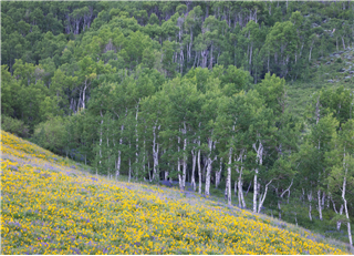 P02 - Adventure Photography Workshop: Quiet Landscapes