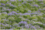 P02 - Adventure Photography Workshop: Quiet Landscapes