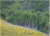 P02 - Adventure Photography Workshop: Quiet Landscapes