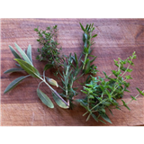 C03 - Medicinal Plants of the Mountains