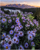 P06 - Photographing Wildflowers & Alpenglow