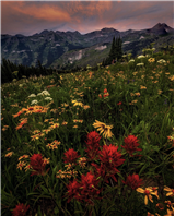 P09 - Photographing Wildflowers & Alpenglow