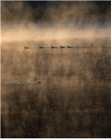 P14 - Sunrise Photography at Peanut Lake