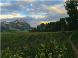 P15 - Wildflower Sunset Adventure Snodgrass