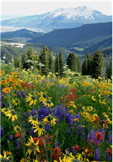 H57 - Trail 403 to Viewpoint