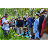 H55 - Wildflower ID Walk