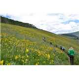 H49 - Walrods Wildflowers & Caves 