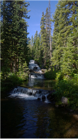 H37 - Wildflowers & Wetlands of Swampy Pass