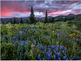 P27 - Adventure Photography Workshop: High Alpine Off-Road Adventure