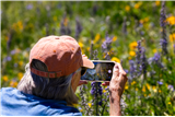 P30 - Phone Photography