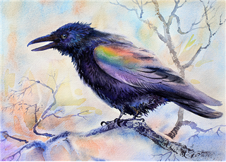 Watercolors Wonders: The Magic of Alaska (Youth)