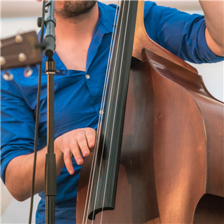 Beginning Bass for Everyone