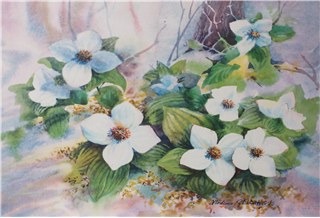 Vintage Dogwood Saga Pack of Five Art Cards by Vladimir Zhikartsev