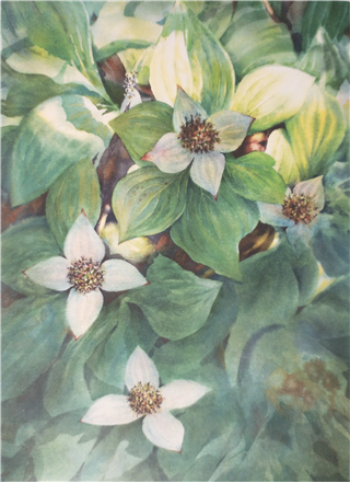Metal Print of Dogwood Nocturne by Vladimir Zhikartsev