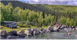 Plein Air Painting at Chena Hot Springs Resort