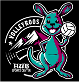 Volleyroos Youth Volleyball Classes