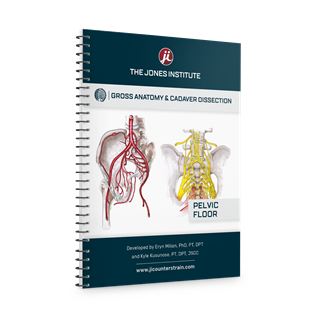 Anatomy Dissection: Pelvic Floor 2025