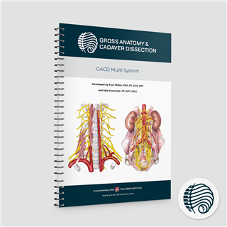 Gross Anatomy Cadaver Dissection: Multi-System 2026
