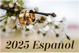 Taller de Preparación Matrimonial 2025