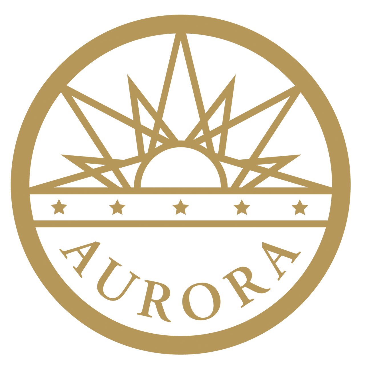 City of Aurora - Presidents Day & Feb 17th Camp