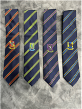 Upper School House Ties