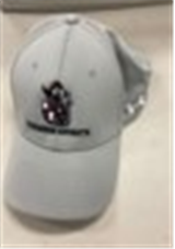 Trivium Spiritwear Baseball Caps & Visors