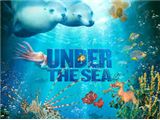 Science Under the Sea – Elise DeGeus 