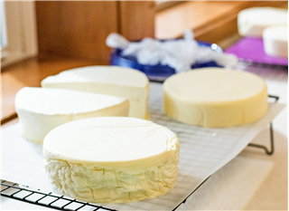 Home Cheesemaking