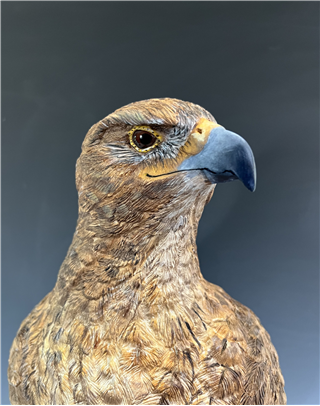 Bird Carving: Red-Tailed Hawk