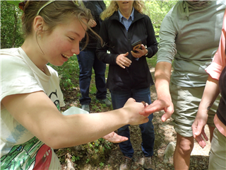 Stream and Forest Expeditions in the Southern Blue Ridge