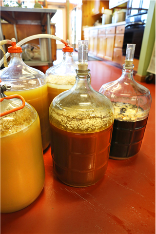 Home-brewing Artisan Beers