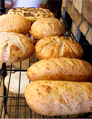 The Science of Bread