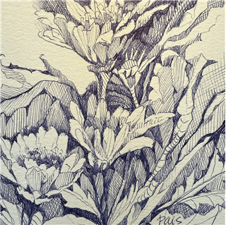 Creating Your Own Drawing Practice