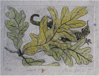 Drawing and Painting with Watercolor Pencils and Crayons