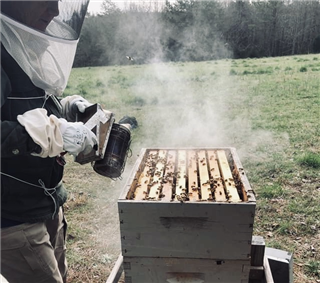 Whats the Buzz About?
