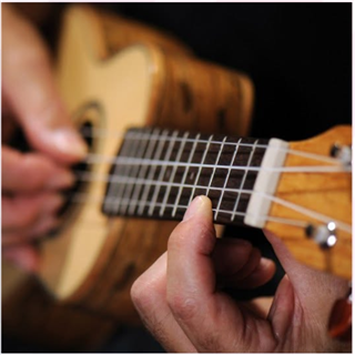 Hawaiian Ukulele