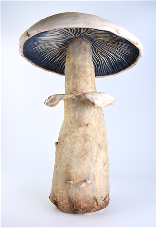 Cold Finishes on Ceramic Sculptures