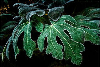 Intro to Digital Photography (Spooky Week)