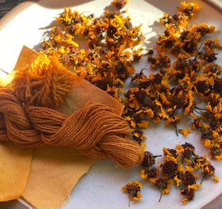 Garden to Cloth–Exploring Plant-based Dyes