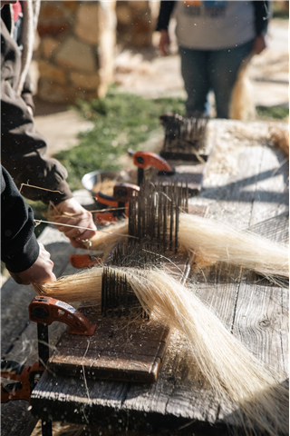 Putting a Spin on Flax–Field to Fiber