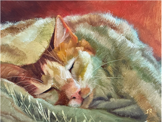 Expressive Animal Portraits