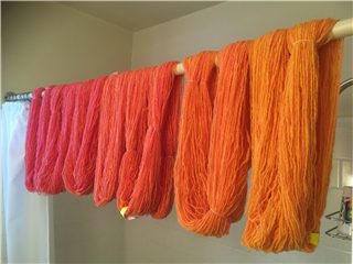 Spinning the Spectrum–Limitless Color!