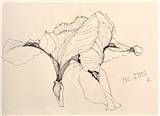 Creating Your Own Drawing Practice