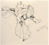 Creating Your Own Drawing Practice