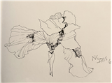 Creating Your Own Drawing Practice