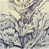 Creating Your Own Drawing Practice