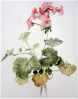 Beginning Watercolor