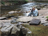 Capture Nature Through the Lens (Holiday in the Mountains)