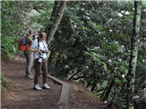 Capture Nature Through the Lens (Holiday in the Mountains)