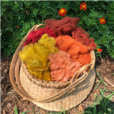 From Sheep to Shawl (Spooky Week)